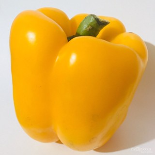 ผลิตภัณฑ์ใหม่ เมล็ดพันธุ์ จุดประเทศไทย ❤Giant Sweet Yellow Bell Pepper 5 Seedsเมล็ดอวบอ้วน 100% รอคอยที่จะให้คว /ขายด 5C