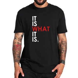 เสื้อยืดแขนสั้น เสื้อยืด ผ้าฝ้าย 100% พิมพ์ลาย it is is is Tshirt Streetwear Humor Cool Gifts สําหรับผู้ชาย ผู้หญิง