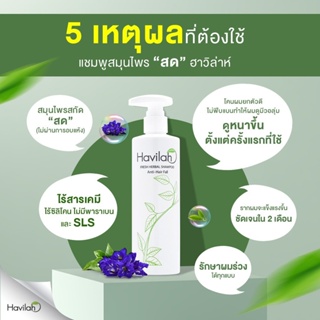 Havilah Shampoo ฮาวิล่าห์แชมพู ขนาด 300 มล. แชมพูแก้ผมร่วง ยาสระผมแก้ผมร่วง ชะลอผมหงอก ลดรังแค แก้หนังศีรษะลอก