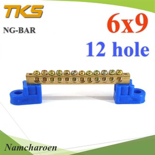 ..บัสบาร์ บาร์รวมสาย กราวด์ นิวตรอน ขนาด 6x9 มม. พร้อมขายึด 12 ช่อง รุ่น Busbar-6x9-12H NC