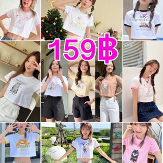 เสื้อครอปหมาแมวฮิตสุดในปฐพี159฿