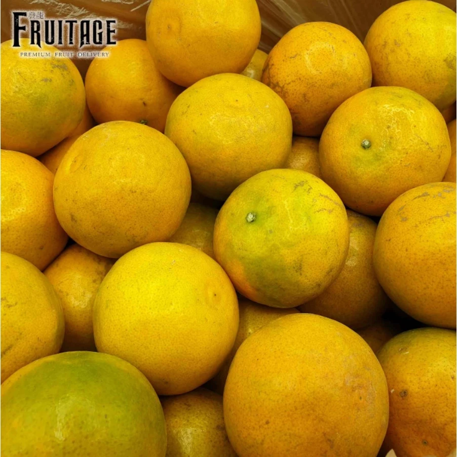 ส้มสายน้ำผึ้ง เกรดคัดพิเศษ (3กิโล) Tangerine Orange (THAI) ส้มสด ส้มไทย ส้มเขียวหวาน ส้มบางมด ส้มธนาธร ส้มฝาง ส้มโชกุน