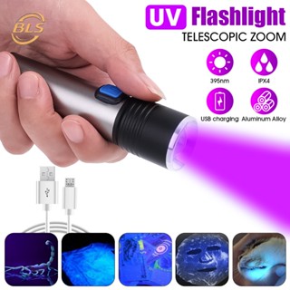 ไฟฉายแบบยืดไสลด์ UV แบบพกพา / ไฟฉายมือถือแบบชาร์จ USB / โคมไฟตรวจจับอัลตราไวโอเลตอเนกประสงค์