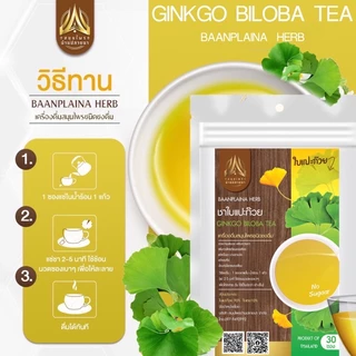 ชาใบแปะก๊วย (Gingko biloba Tea) บำรุงสมอง เสริมความจำ ชนิดซองแช่ดื่ม มีให้เลือก2ขนาด