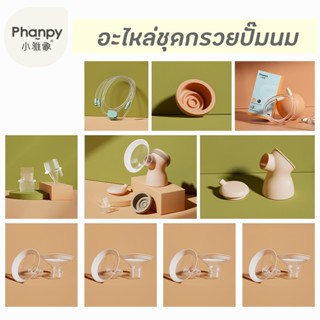 Phanpy อะไหล่ชุดกรวยปั๊มนม (ราคาต่อชิ้น) รุ่น Ver 1 และ 2