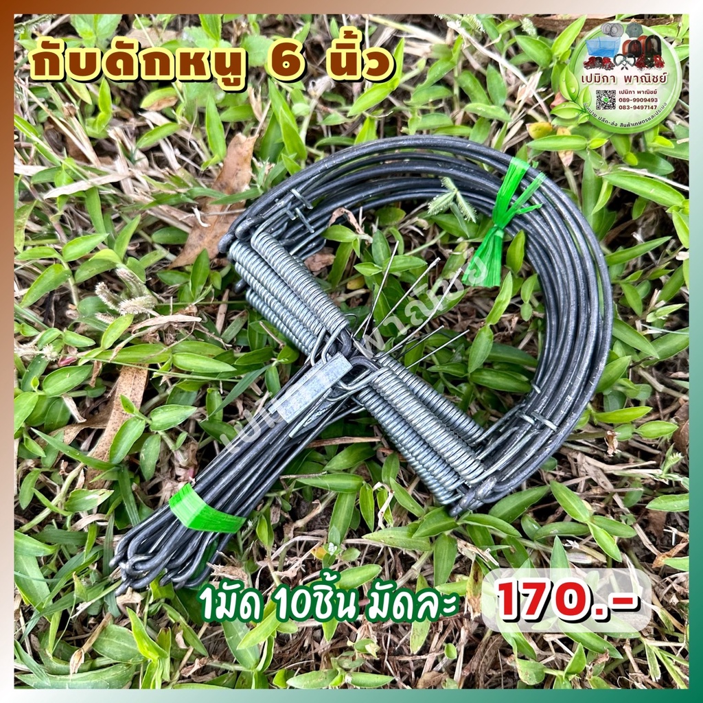 กับดักหนู 6 นิ้ว 1มัด 10ชิ้น กับดักหนูนา กับดักหนูเวียดนาม  กับดักเกือกม้า กับลาว กับตีหนู กับดักวงเดือน