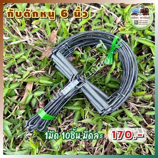 กับดักหนู 6 นิ้ว 1มัด 10ชิ้น กับดักหนูนา กับดักหนูเวียดนาม  กับดักเกือกม้า กับลาว กับตีหนู กับดักวงเดือน