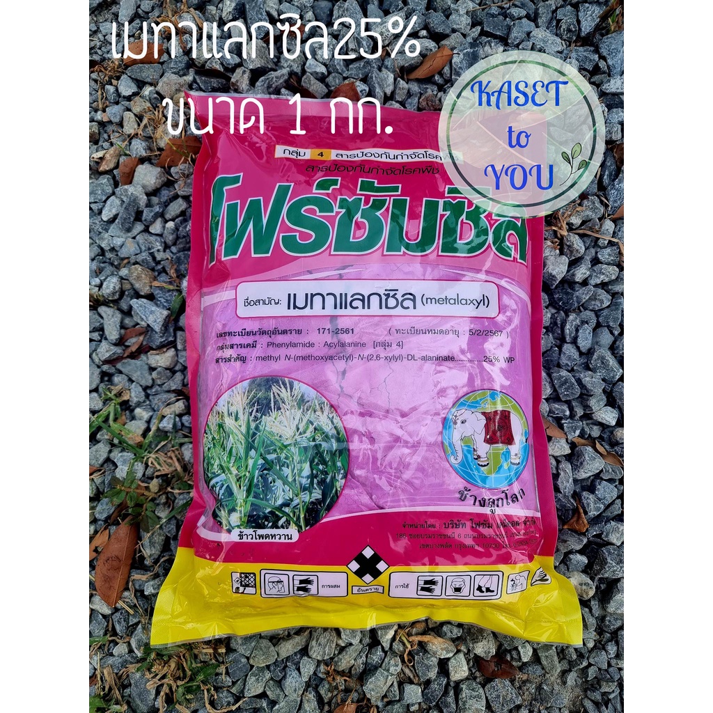 โฟร์ซัมซิล 25% (เมทาแลกซิล 25% DS) (สีชมพู) สารกําจัดเชื้อราประเภทดูดซึม เช่น โรครากเน่า โรคโคนเน่า โรคลำต้นดำ ราน้ำค้าง