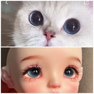 Bjd Doll Blue Cats Eye 1/3 1/4 1/6 ลูกตาแก้วเทียม