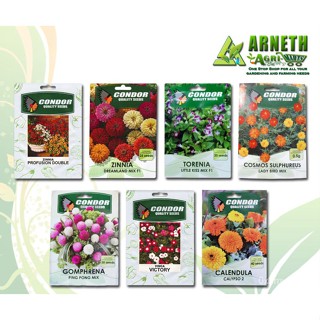 ผลิตภัณฑ์ใหม่ เมล็ดพันธุ์ จุดประเทศไทย ❤FLOWER PLANT SEEDS FOR GARDEN BY CONDOR AND KNOWN YOUเมล็ดอวบอ้วน 100%  /ดอก ZN3