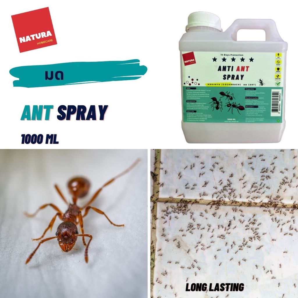 Anti Ant Spray 1000ml (termites, cockroach) Last 7days, Spray on food waste bin