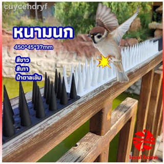 หนามนก อุปกรณ์ไล่นก น้ำยาไล่นก หนามที่กั้นไม่ให้แมวเข้ามา bird thorn