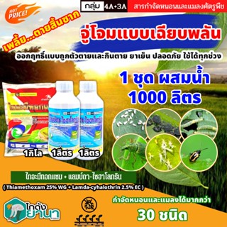 🌾 ชุดกำจัดเพลี้ยสิ้นซาก  สินค้าไก่เกษตร (ไทอะมีทอกแซม+แลมป์ดา) ขนาด 1กิโลกรัม+1ลิตรx2ขวด จู่จอมแบบเฉียบพลัน