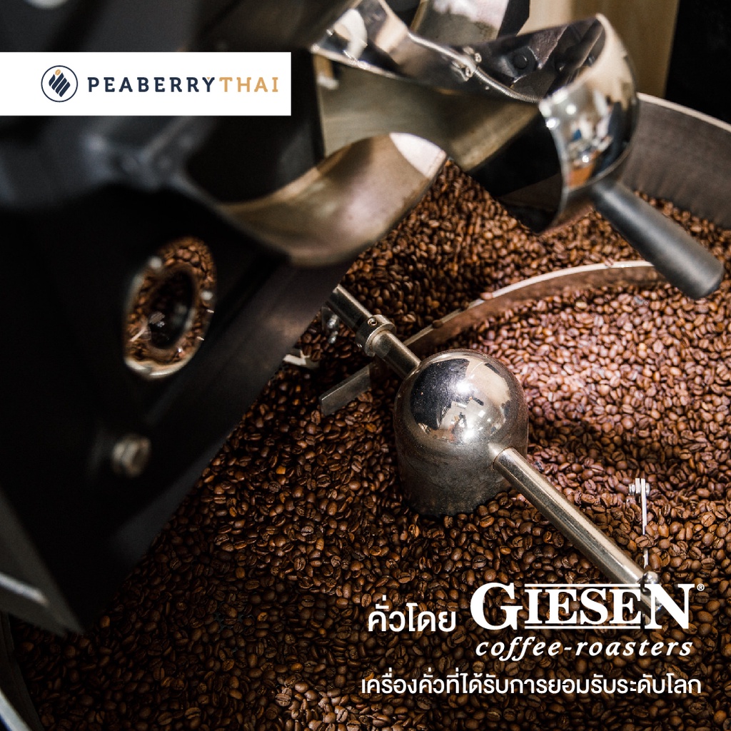 Pacamara House Blend 500g เมล็ดกาแฟไทย+นอก อาราบิก้า 100% คั่วกลาง ขนาดบรรจุ 500 กรัม