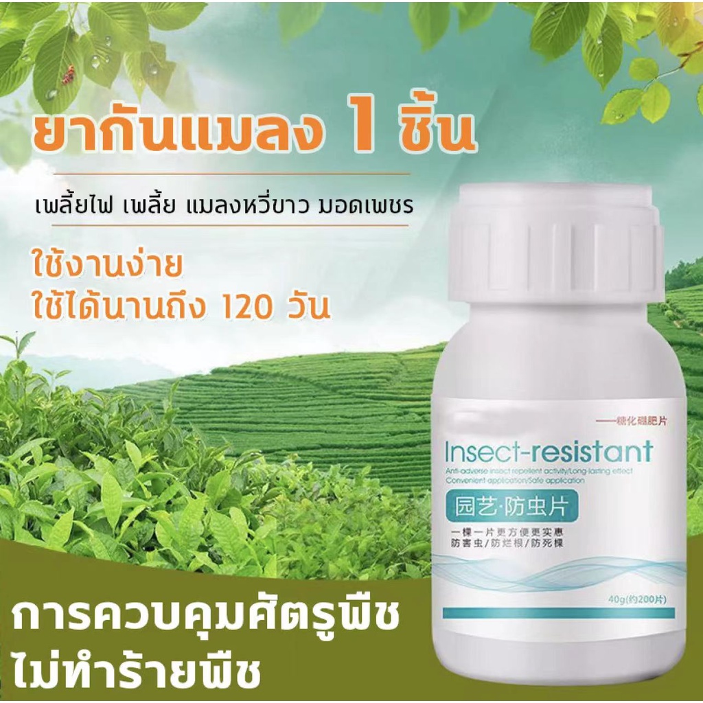 1 เม็ดใช้ได้120 วัน ยาเชื้อราในพืช ยากำจัดเพลี้ย ยากำจัดสัตรูพืช ฆ่าแมลงเท่านั้น ไม่ทำร้ายพืช กำจัดแมลงได้กว้างขวาง