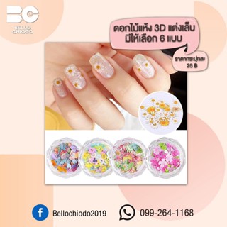 ดอกไม้แห้ง 3D แต่งเล็บ มี 6 แบบ กระปุกละ 25.-