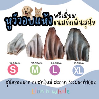 [ส่งไว] 🇹🇭หูวัวอบแห้งเกรดA ขนมสำหรับสุนัขพันธุ์เล็ก/ใหญ่ แบบมีขน  ตัดเป็นชิ้นเล็กได้ ขนมขัดฟันสุนัข ขนมสุนัข หูวัวอบ