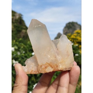 👑 ผลึกควอตซ์ใส ( Quartz Crystal ) พุ่มผลึกขนาดกลาง วางโชว์ปรับบ้าน  ทรงผลึกค่อนข้างสมบูรณ์ ✨