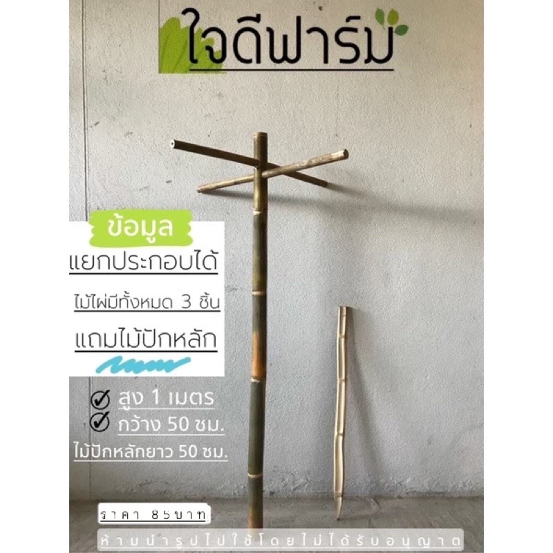 ไม้ไผ่เเขวนกระถางต้นไม้ แขวนโคมไฟ สูง 1เมตร ราคา 85 บาท ✅✅
