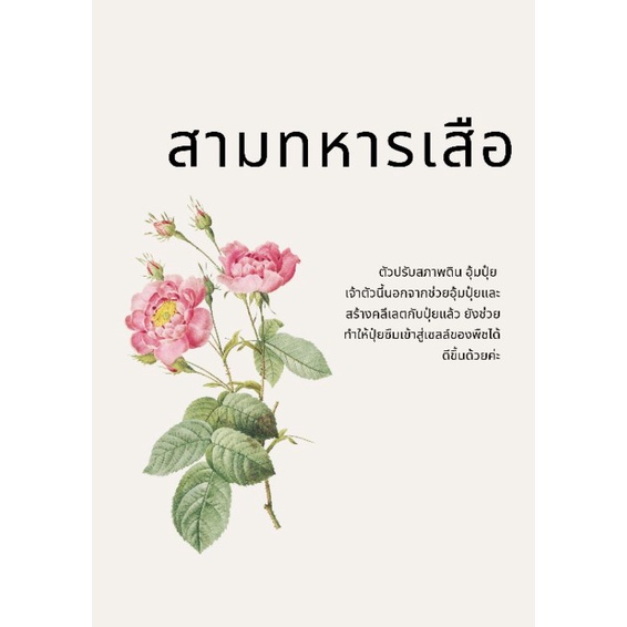 ปุ๋ยสามทหารเสือ บำรุงดินอุ้มปุ๋ยปรับสภาพดินปรับปรุงดิน รูปที่ 3