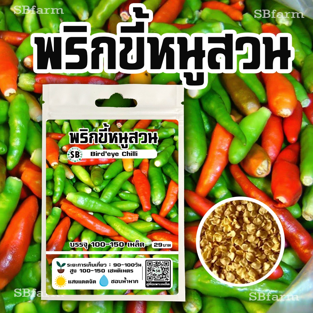 พริกขี้หนูสวน [100-150เมล็ด/ซอง] โปรโมชั่น [ซื้อ 3แถม 1ซอง]