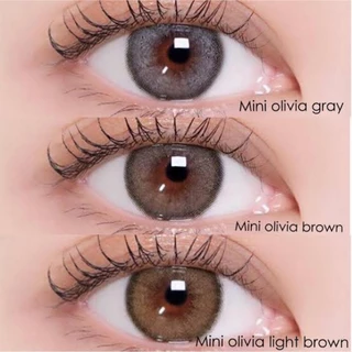 รวมคอนแทคเลนส์ Mini Olivia Brown / Light Brown / Gray / Green - Kitty Kawaii ขนาดมินิ