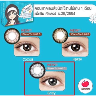 MAXIM CONTACT LENS สี GRAY เลนส์เล็กตัดขอบดำ DIA 14.0 คอนแทคเลนส์สี (กล่องฟ้า)