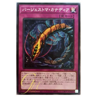 [SD41-JP040] Paleozoic Canadia (Common)