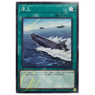 [SD40-JP032] Surface (Common)