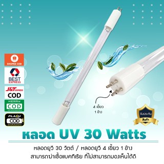 หลอดยูวี UV TUV 30 Watts 4/1 (4 เขี้ยว 1 ข้าง) TUV885MMT5