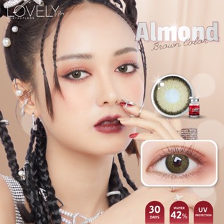 LovelyLens Almond Eff.19 Brown ใหญ่