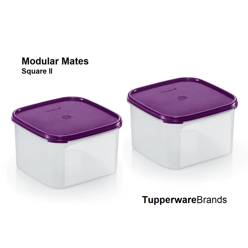 Tupperware Modular Mates Square 2 (2) - Dewberry
