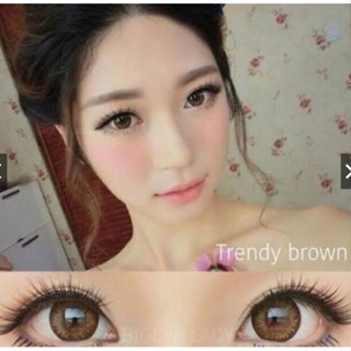 ร้านเลนส์สวยคอนแทคเลนส์ฝาแดง pitchylens รุ่น Trendy ขายดี  #คอนแทคเลนส์ #บิ๊กอาย brown สีน้ำตาล / gray สีเทา