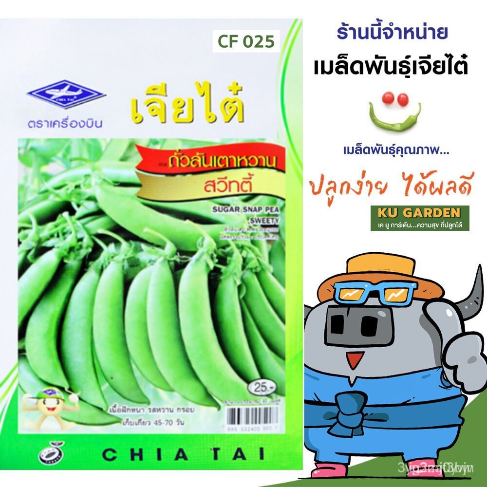 ผลิตภัณฑ์ใหม่ เมล็ดพันธุ์ เมล็ดพันธุ์คุณภาพสูงในสต็อกในประเทศไทยCHIATAI  ผักซอง เจียไต๋ F025#ถั่วลันเตาหวาน สวี /ดอก 2AG