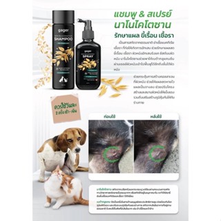 gager แชมพู นาโน ไคโตซาน แก้ขี้เรื้อนหมาแมว 250ml 1ขวด