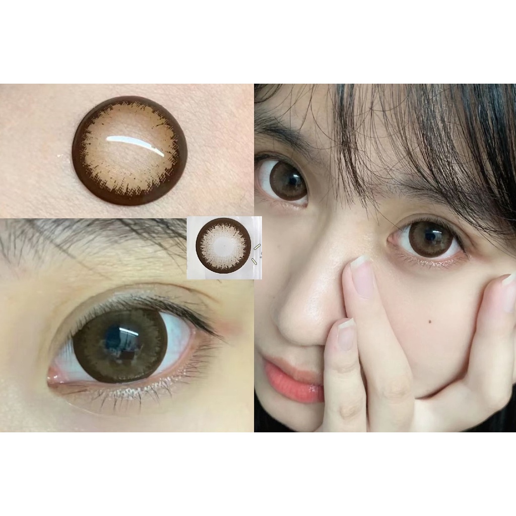 (22.Nov.27th)bsjzong Series Xiyou คอนแทคเลนส์ ขนาดใหญ่ 14.50 มม. (เกรด 0-8.00) สีน้ําตาล