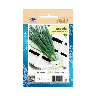 เมล็ดพันธุ์ ผักใบ ชุดที่ 3 เจียไต๋ (ซอง) ตราเครื่องบิน + Best Seller + เมล็ดผัก ผักสวนครัว ผักสลัด ผักไฮโดร