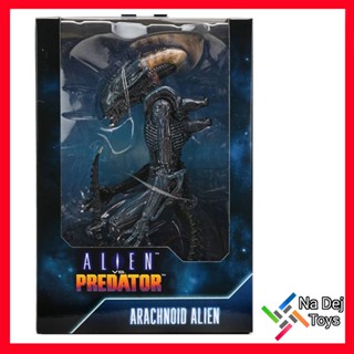 Neca Alien vs Predator Arachnoid Alien 7" Figure เอเลี่ยน ปะทะ เพรดเดเทอร์ อารัคนอยด์ เอเลี่ยน ขนาด 7 นิ้ว ฟิกเกอร์