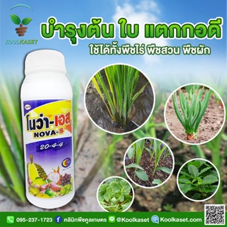 ปุ๋ยน้ำ สูตร 20-4-4 1ลิตร ช่วยฟื้นฟูสภาพต้น เเร่งการแตกยอด แตกใบใหม่ เร่งราก บำรุงต้น ใบเขียว  คูลเกษตร KK110