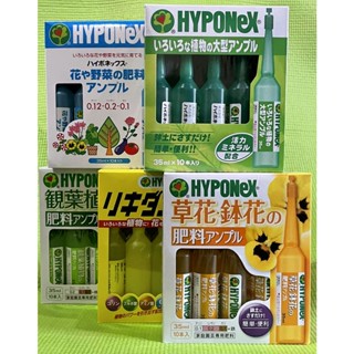 🌈🎁 พร้อมส่ง 🎁  ปุ๋ยปัก ปุ๋ยน้ำ Hyponex Ampole (ไฮโพเนกซ์ แอมพิล) ปักลงกระถาง (ยกกล่อง) ของแท้