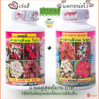 ปุ๋ยบอนสี คาลาเดียม  ขนาด 250 cc แตกหน่อไวใบสวย สมบูรณ์ สีสด 2สูตรแพคคู่