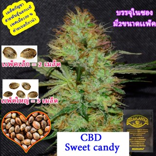 Sweet candy CBD สวีทเเคนดี้ ซีบีดี โฟโต้ นอก+เมีย100 เปอร์เซ็น