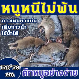 🐀หนูสัมผัสแล้วก็หนีไม่พ้น🐀กาวดักหนู ขนาด120*28 กาวดักหนู แน่นๆ กาวดักหนูถาด แน่นๆ ยาฆ่าหนู ไล่หนูในบ้าน ยากำจัดหนูบ้าน