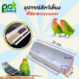 [21×6.5cm] ที่ให้อาหารแขวนกรง อุปกรณ์สัตว์เลี้ยง ชามอาหารนก ถ้วยอาหารนก อุปกรณ์ตกแต่ง กรงนก สำหรับ นกฟอพัส นกหงส์หยก