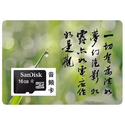 พระโพธิสัตว์สาธิต Spiritual Go Layman Buddha การ์ดหน่วยความจําเสียง NL1