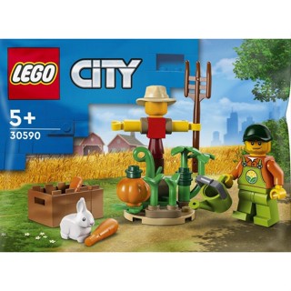 Lego_polybag_30590: Farm Garden &amp; Scarecrow