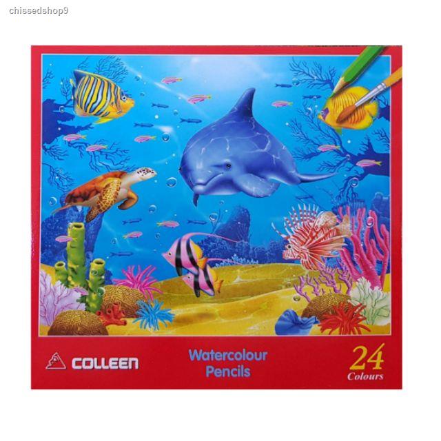 จัดส่งเฉพาะจุด จัดส่งในกรุงเทพฯสีไม้คอลลีน Colleen ระบายน้ำ 24สี#(แท่งเหลี่ยม)
