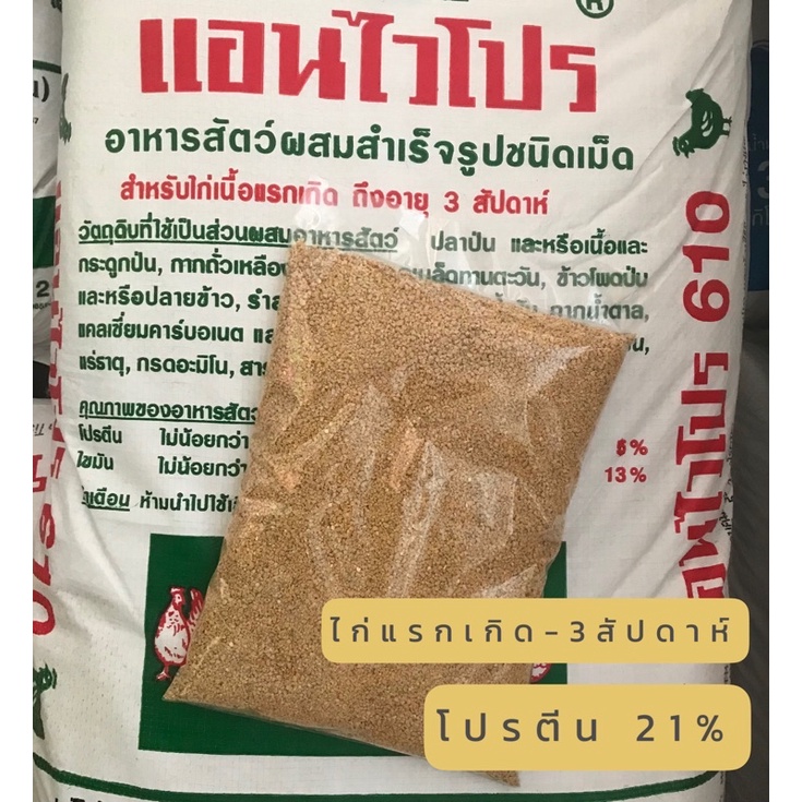 แอนไวโปร 610 อาหารไก่แรกเกิดถึง 3 สัปดาห์