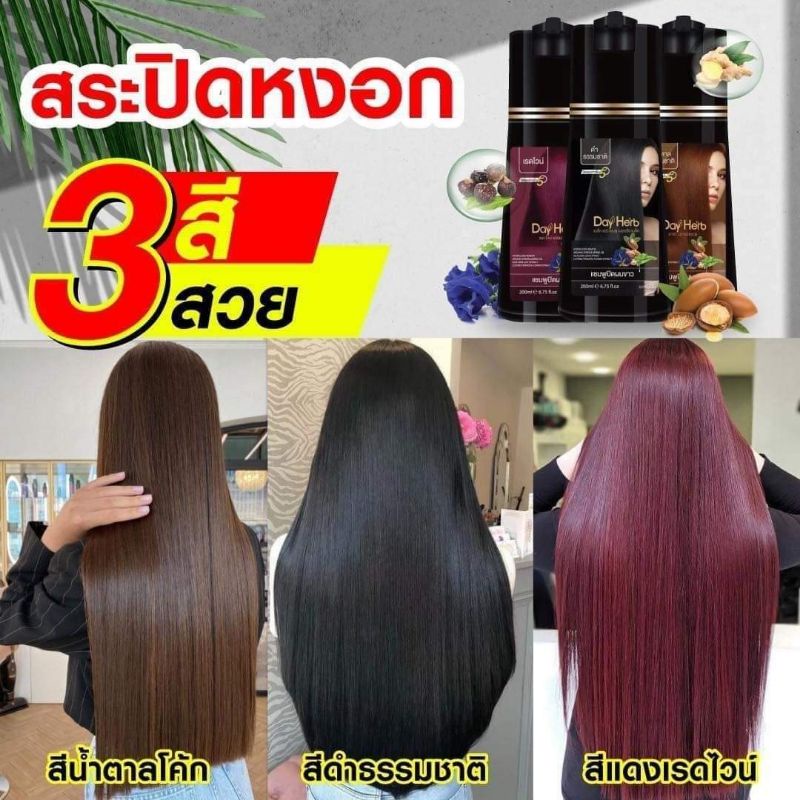 DayHerb แชมพูปิดผมขาว สมุนไพรแท้ ปิดหงอก ลดหงอก ใน 5 นาที เเท้ 100%