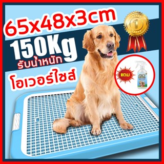65x48x3cm ห้องน้ำหมาใหญ่ ห้องน้ำสุนัข ถาดรองฉี่สุนัข ถาดฉี่สุนัข ห้องน้ำหมา ถาดฉี่หมาใหญ่ ถาดรองฉี่สุนัขขนาดใหญ่